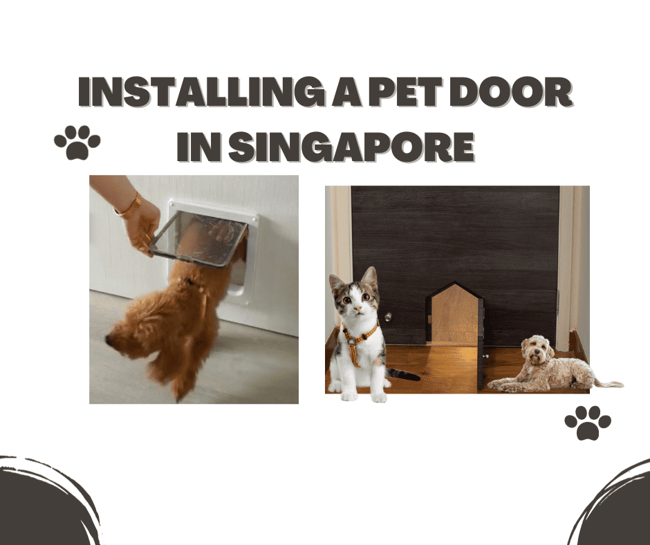 Installing A Pet Door In Singapore Bumi Megah Timber Doors